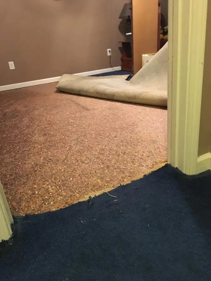 Carpet pad removal revealing water damage during Water Mitigation Services in Eatontown